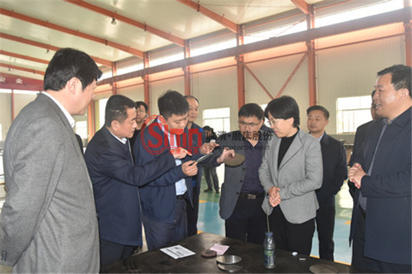 臨清市長祁學蘭參觀指導